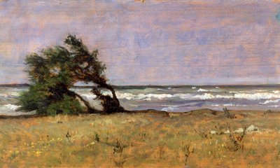 Tempestad de Giovanni Fattori